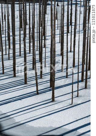 冬の王滝村自然湖 115811875