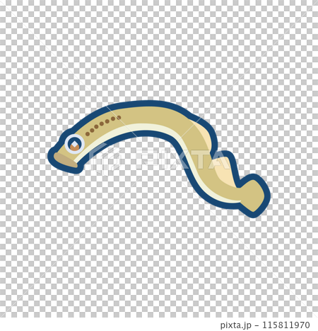 Illustration of a cute lamprey Illustration of a cute lamprey 115811970