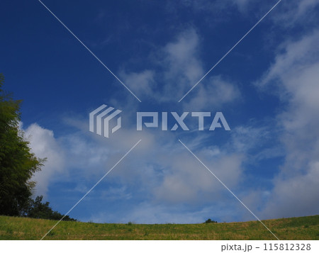 芝生と空 115812328