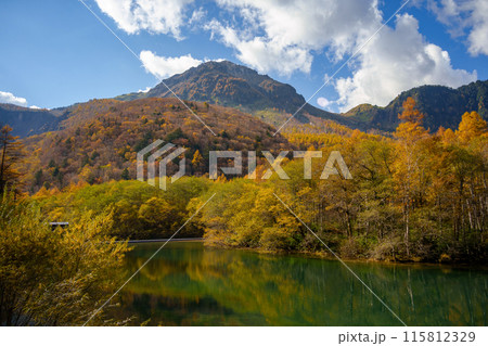 上高地の紅葉・大正池と焼岳（日本、長野県） 115812329