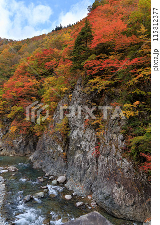 秘境 秋山郷の紅葉・中津川渓谷、前倉橋からの眺め(日本、新潟県津南町) 秘境 秋山郷の紅葉・中津川渓谷、前倉橋からの眺め(日本、新潟県津南町) 115812377