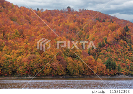 奥只見湖の紅葉・遊覧船からの眺め(日本、新潟県) 奥只見湖の紅葉・遊覧船からの眺め(日本、新潟県) 115812398