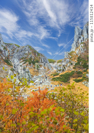 駒ヶ岳千畳敷カールの紅葉(日本、長野県) 駒ヶ岳千畳敷カールの紅葉(日本、長野県) 115812414