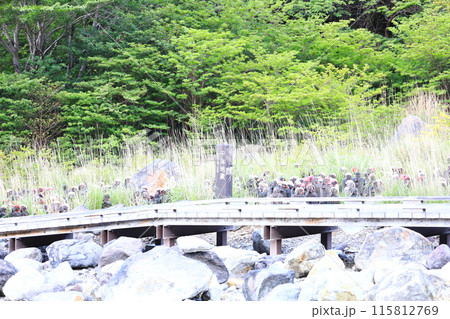 史跡 殺生石の千体地蔵／栃木県那須町 115812769
