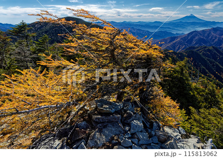 甲武信岳山頂のカラマツの黄葉と富士山の眺め 甲武信岳山頂のカラマツの黄葉と富士山の眺め 115813062
