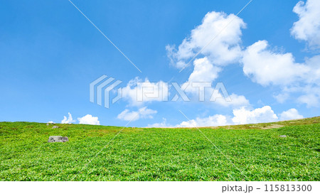 さわやかな夏の高原風景(美ヶ原高原) さわやかな夏の高原風景(美ヶ原高原) 115813300