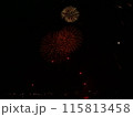 夜空に咲く花火 115813458