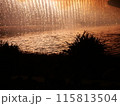 花火に照らされる川 115813504