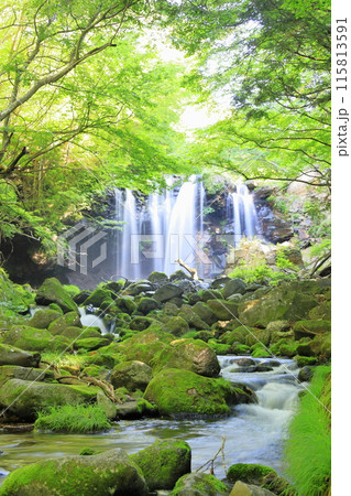 乙女の滝/栃木県那須塩原市 乙女の滝/栃木県那須塩原市 115813591