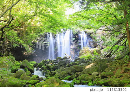 乙女の滝/栃木県那須塩原市 乙女の滝/栃木県那須塩原市 115813592