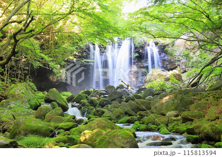 乙女の滝/栃木県那須塩原市 乙女の滝/栃木県那須塩原市 115813594