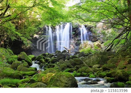 乙女の滝／栃木県那須塩原市 115813596