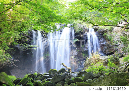 乙女の滝／栃木県那須塩原市 115813650