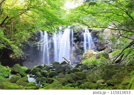 乙女の滝/栃木県那須塩原市 乙女の滝/栃木県那須塩原市 115813653