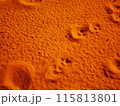 砂浜に残る猫の足跡 115813801