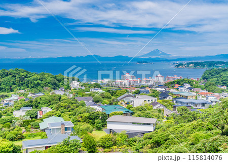 【神奈川県】湘南の住宅地越しに見る、江ノ島と富士山 115814076