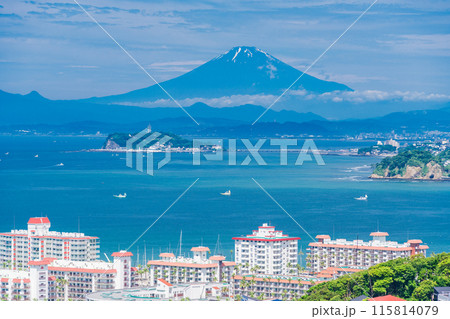 【神奈川県】湘南の住宅地越しに見る、江ノ島と富士山 115814079