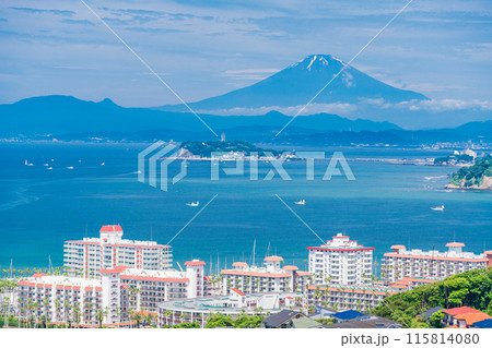 【神奈川県】湘南の住宅地越しに見る、江ノ島と富士山 115814080