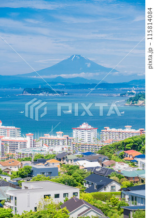 【神奈川県】湘南の住宅地越しに見る、江ノ島と富士山 115814084