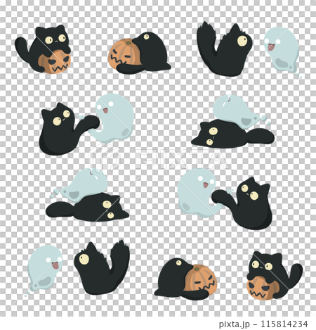 黒猫とカボチャとオバケのセット 黒猫とカボチャとオバケのセット 115814234