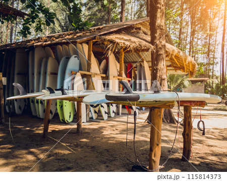 A variety of surfboards are neatly displayed on a stand A variety of surfboards are neatly displayed on a stand 115814373