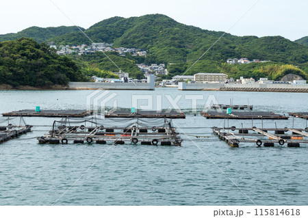 トラフグの養殖生簀 115814618