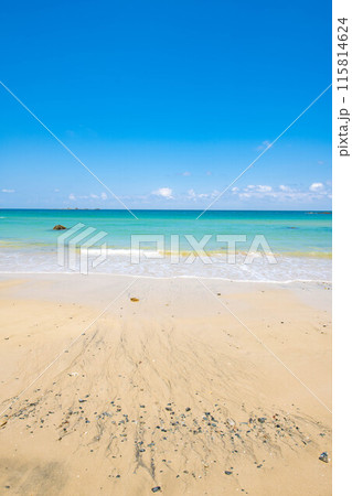 砂浜から眺める夏の海の景色 砂浜から眺める夏の海の景色 115814624