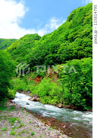 6月の苗名滝 6月の苗名滝 115814795