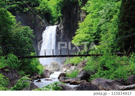 6月の苗名滝 6月の苗名滝 115814917
