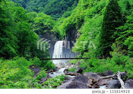6月の苗名滝 6月の苗名滝 115814919