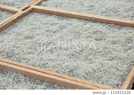 ちりめんの天日干し風景 115815226