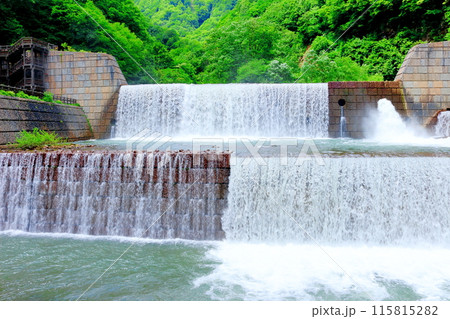 6月の苗名滝 6月の苗名滝 115815282