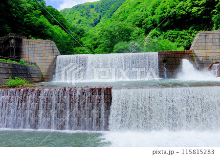 6月の苗名滝 115815283