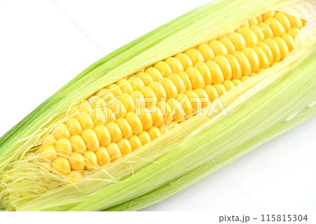 とうもろこし(ミルキースイーツ) とうもろこし(ミルキースイーツ) 115815304