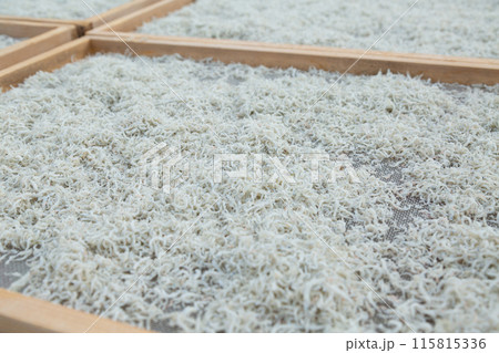 ちりめんの天日干し風景 115815336