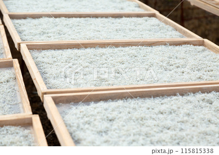 ちりめんの天日干し風景 115815338