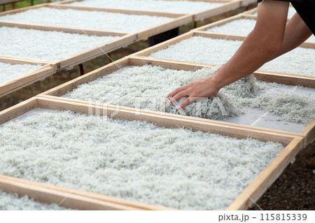 ちりめんの天日干し風景 115815339