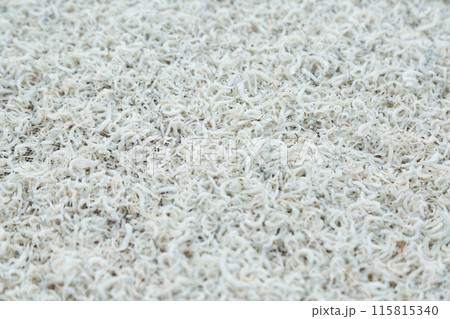 ちりめんの天日干し風景 115815340