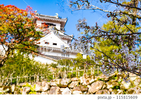 【日本100名城】春の高知城　満開のソメイヨシノと天守321　高知県高知市 115815609