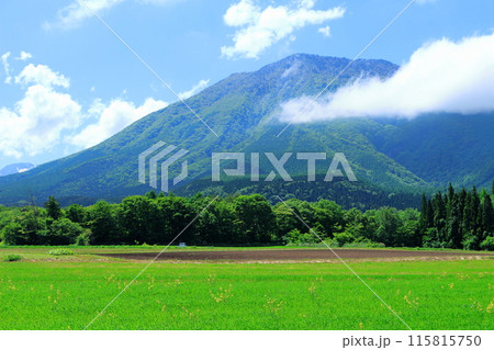 6月の黒姫山 115815750