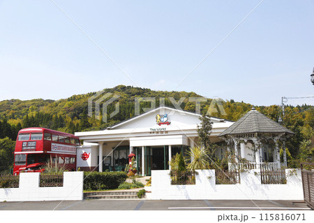 知覧町 県道メインストリート沿いのティーサロン 115816071