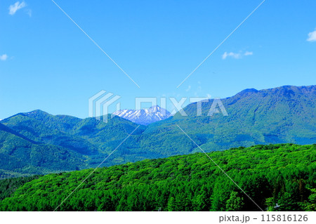 6月の戸隠山 春の戸隠山 6月の戸隠山 春の戸隠山 115816126