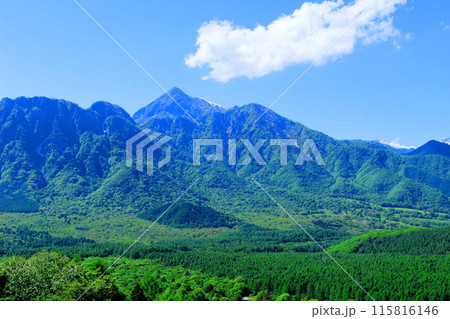 6月の戸隠山　　　春の戸隠山 115816146