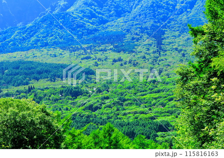 6月の戸隠山 春の戸隠山 6月の戸隠山 春の戸隠山 115816163