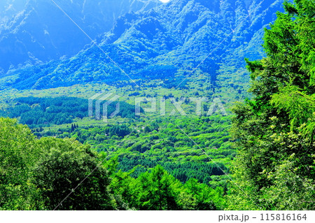 6月の戸隠山　　　春の戸隠山 115816164
