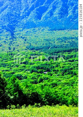 6月の戸隠山　　　春の戸隠山 115816184