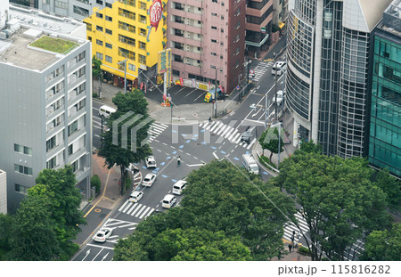 交差点の信号を渡る人　十二社通り 角筈区民センター前  -東京都新宿区西新宿の風景- 115816282