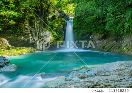 仁淀ブルーの聖地 にこ淵 仁淀ブルーの聖地 にこ淵 115816289