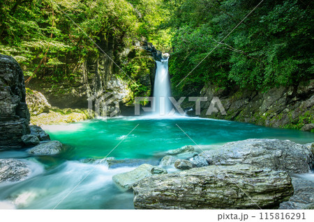 仁淀ブルーの聖地　にこ淵 115816291