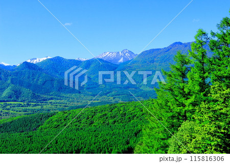 6月の戸隠山　　　春の戸隠山 115816306